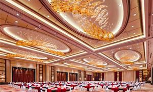 【酒店宴會廳】藝術創(chuàng)意吊線燈具SSDZ5861