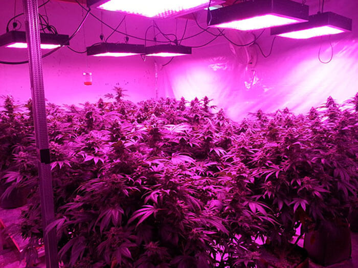 疫情之下，照明燈具企業(yè)如何求生